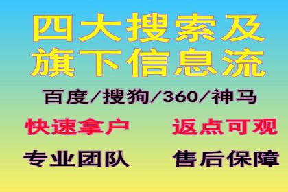 百度竞价SEM成功案例：揭秘广告投放秘诀